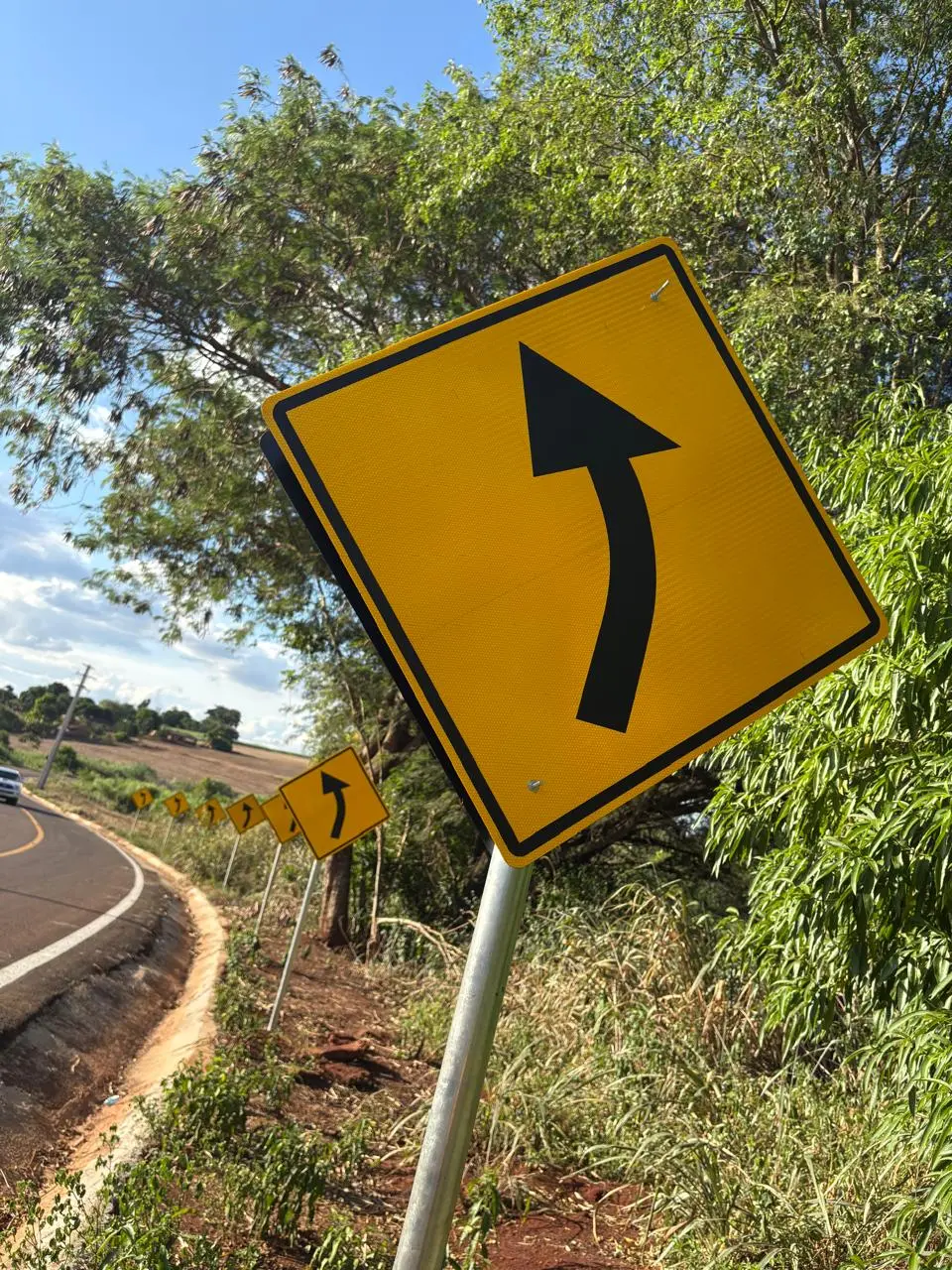 Placa de advertência instalada em trecho de curva